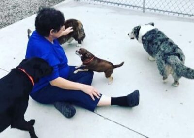 Dogs playing at Captain Creek Ranch doggy daycare near Kansas City